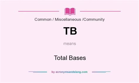 record 2+ bases|Total Bases (TB) .